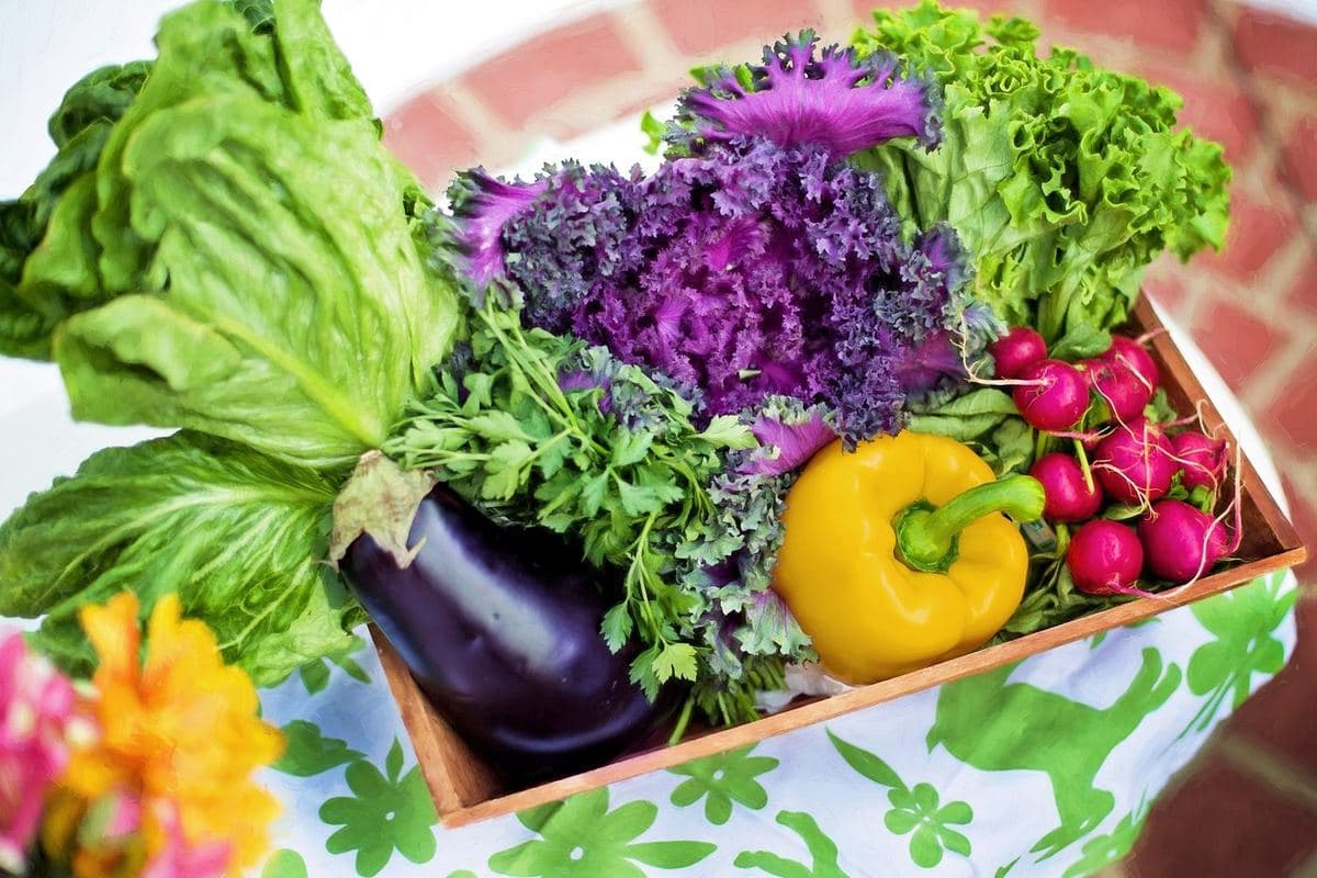 A wooden crate of fresh leafy greens, peppers and radishes