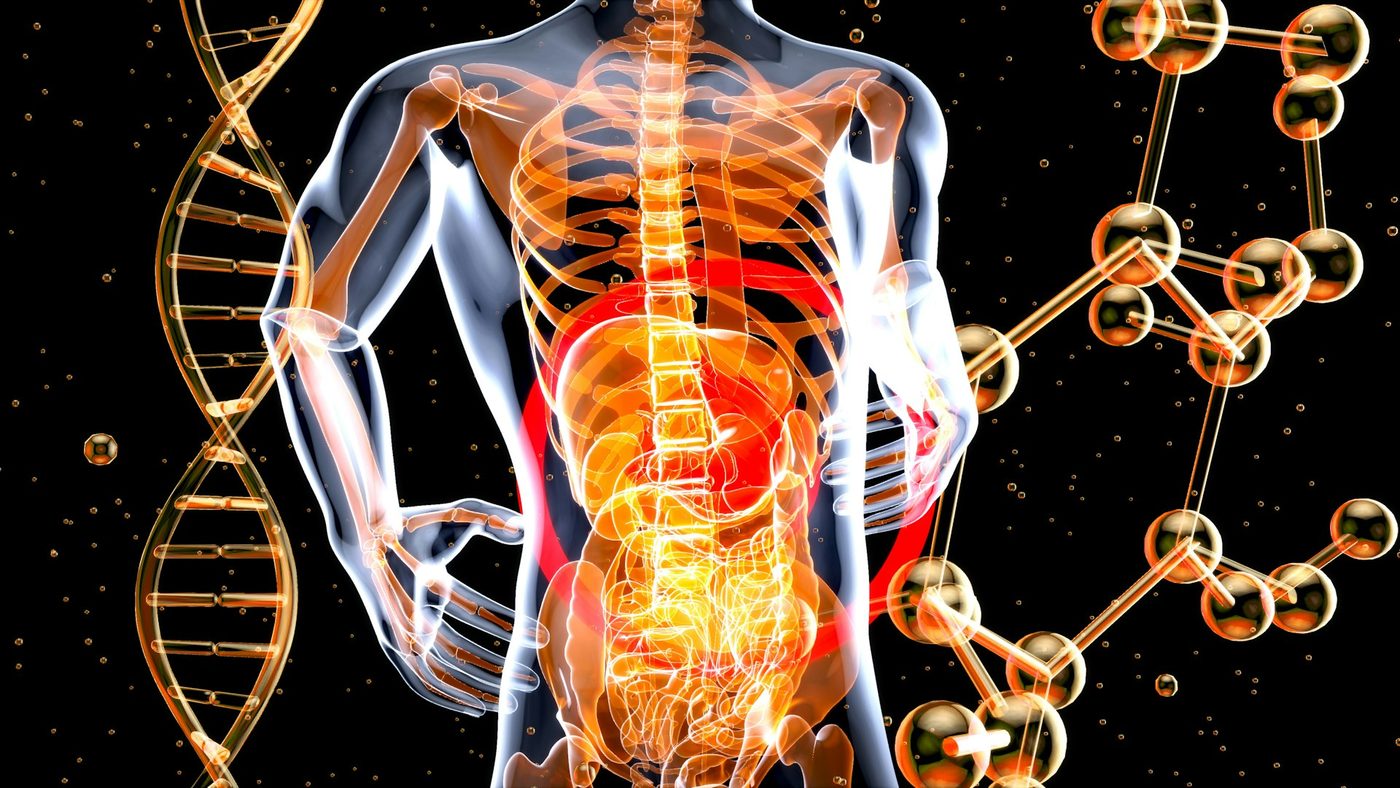 A medical illustration of a human body with the chest and torso highlighted, representing how a viral infection affects the whole body.