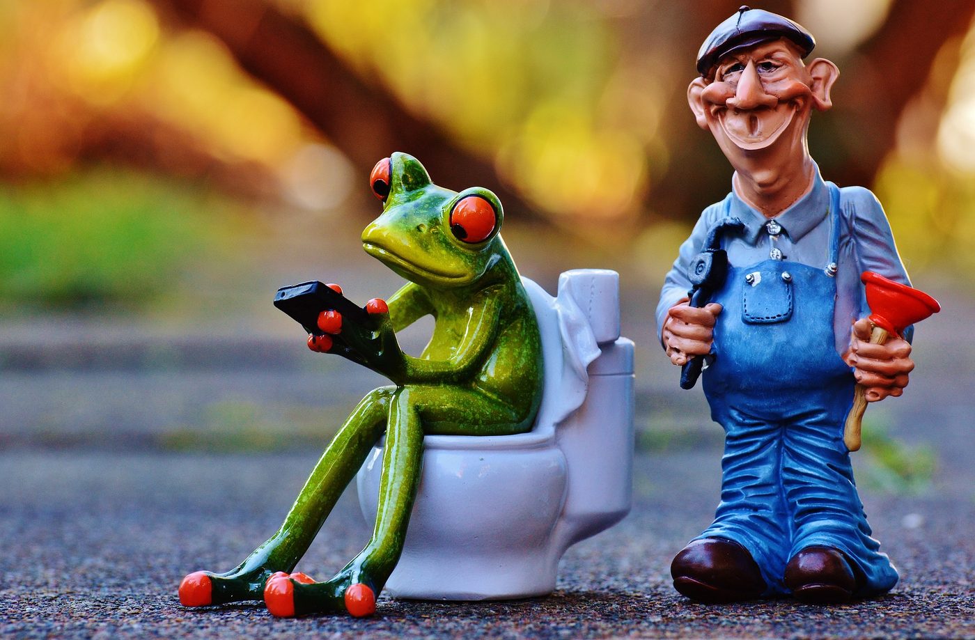 A lighthearted figurine scene of a frog seated on a toilet beside a plumber figure, a gentle nod to the bowel habit changes that come with IBS.